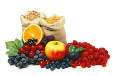 Mormon Word of Wisdom Food