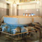 Mormon Temple Baptismal Font